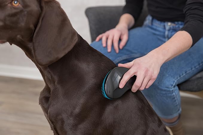 Pet Brush Soft Bristles 19cm for Gentle Grooming | Keans Claremorris