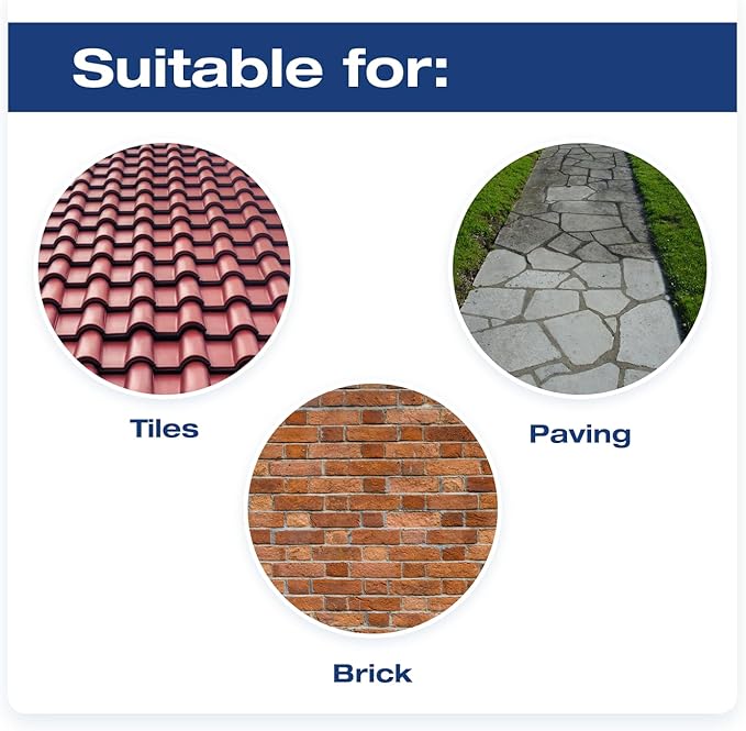 Wet & Forget 2L Mould, Lichen & Algae Remover spray – effective outdoor cleaner | Keans Claremorris