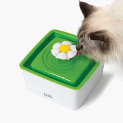 Catit 2.0 Mini Flower Fountain 1.5L pet water fountain for cats, available at Keans Claremorris.