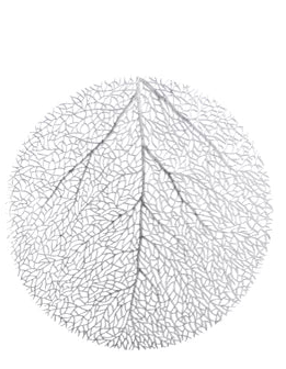 Placemat – Gold or Silver with Open Leaf Design d38cm - Image 1