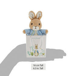 Peter Rabbit Soft Toy in Gift Bag