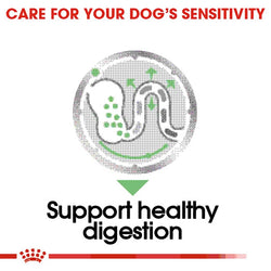Royal Canin Digestive Care Dog Pouch 85g – Premium digestive support wet food, available at Keans Claremorris.