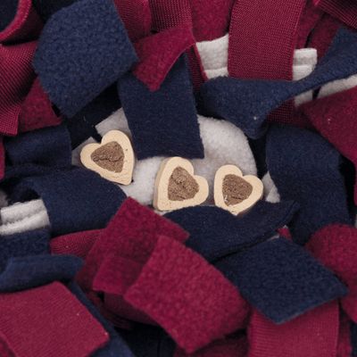 Dog Activity Sniffing Carpet for pets, interactive scent play mat – Keans Claremorris store