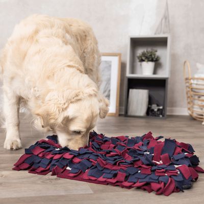 Dog Activity Sniffing Carpet for pets, interactive scent play mat – available at Keans Claremorris.