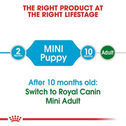 Royal Canin Mini Puppy Junior Dog Food 8kg – Nutritious dry food for small breed puppies | Keans Claremorris