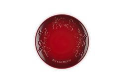 Le Creuset Stoneware Holly Plate 19cm Cerise
