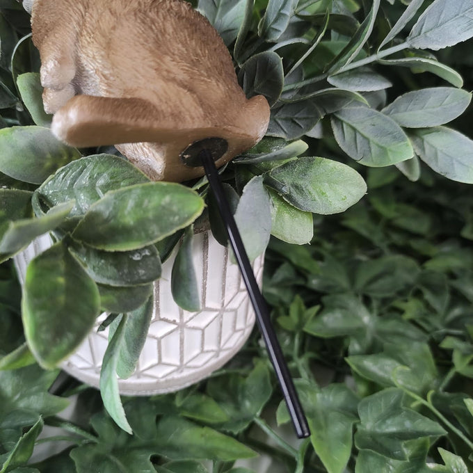 Lookout Rabbit Plant Pal - 10.8cm - Image 3