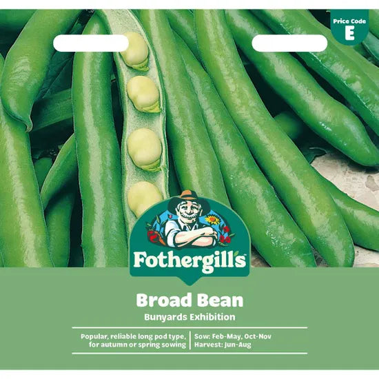 Broad Bean Bunyards Exhibition