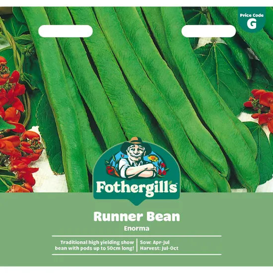 Runner Bean Enorma - Image 1