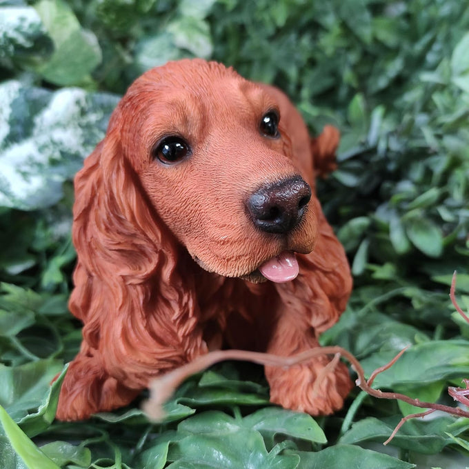 Active Pups Golden Red Cocker Spaniel D - Image 5