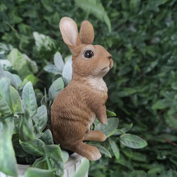 Lookout Rabbit Plant Pal - 10.8cm