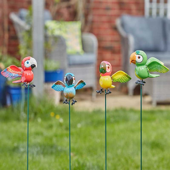 Parrot Pals Loony Stakes - Image 1