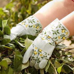 Sicilian Lemon Premium Lightweight Rigger M8