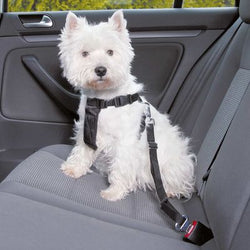 Dog car harness adjustable 70-90 cm length for safety and comfort | Keans Claremorris