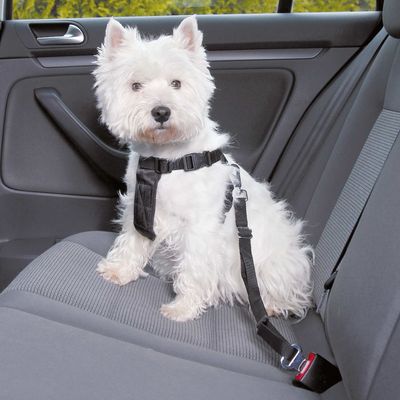 Dog car harness adjustable 70-90 cm length for safety and comfort | Keans Claremorris