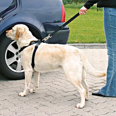 Dog car harness adjustable 70-90 cm length for safety and comfort | Keans Claremorris