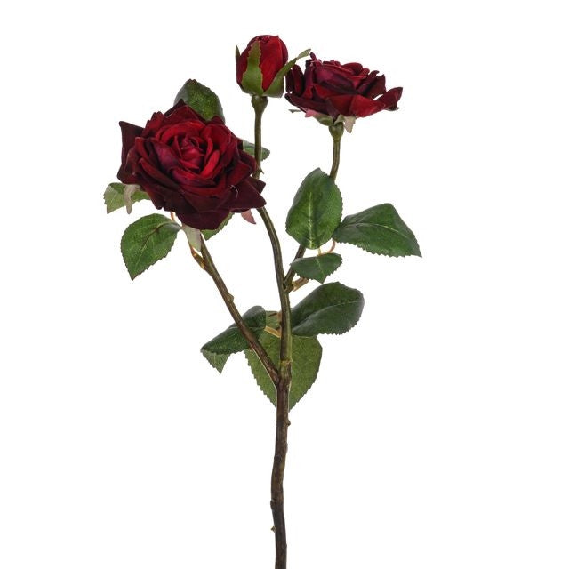 Balmoral Wine Rose Spray with three deep wine-red blooms and green leaves on a single stem.