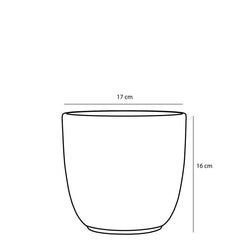 Tusca round black pot, 16cm height x 17cm diameter, stylish planter for indoor use - Keans Claremorris