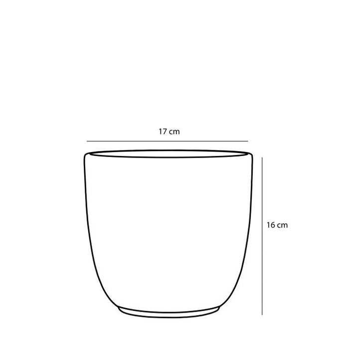 Tusca round black pot, 16cm height x 17cm diameter, stylish planter for indoor use - Keans Claremorris