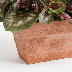 Cyclamen pink plant in slate terra balcony tray, 29x13x33cm, decorative flower pot – Keans Claremorris