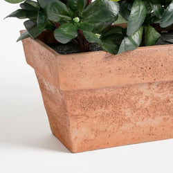 Azalea pink plant in slate terra balcony tray, 29x13x27cm, decorative planter by Keans Claremorris
