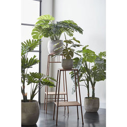 Monstera plant in green plastic pot, 140cm tall x 80cm wide, available at Keans Claremorris.