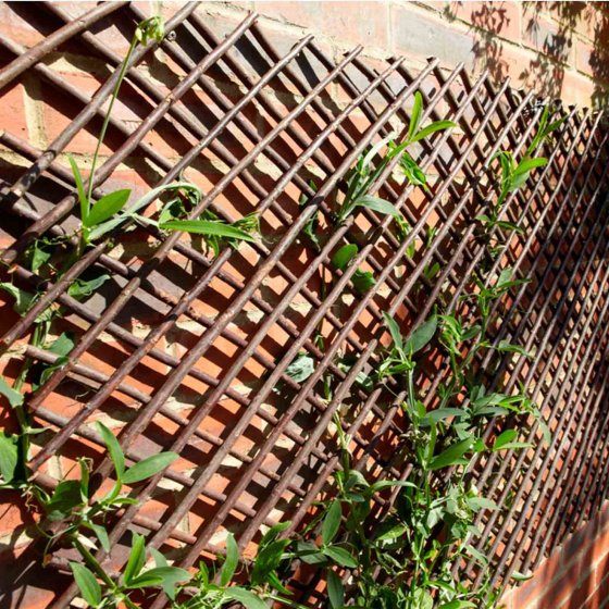 Smart Garden XS Willow Trellis 1.8x0.9m wooden expandable trellis with aluminium rivets for climbing plants – Keans