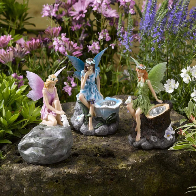 Fairy Spots - Image 1