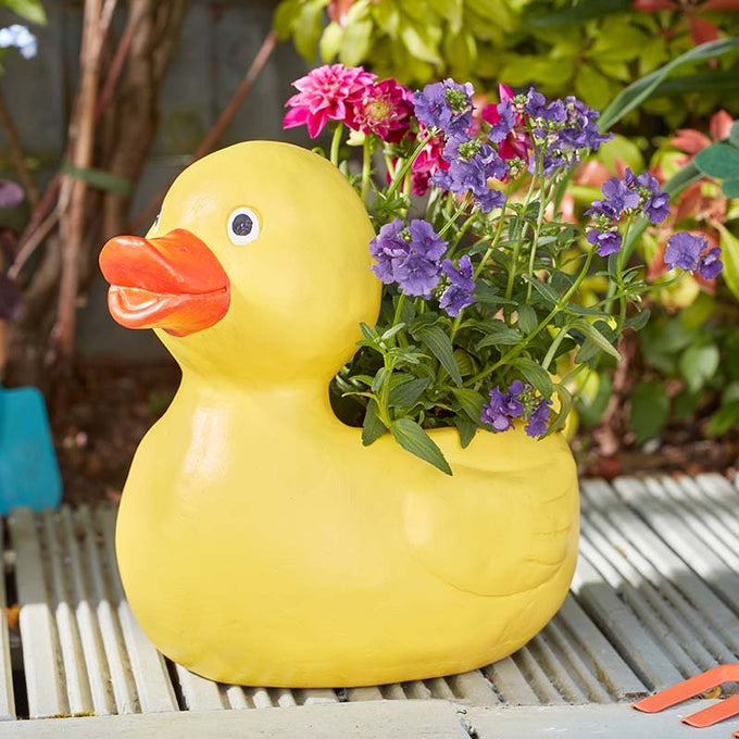 Duck Planter - Image 1