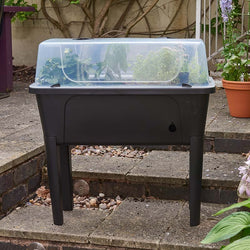 Raised Patio Planter