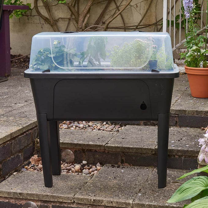 Raised Patio Planter - Image 2
