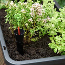 Raised Patio Planter