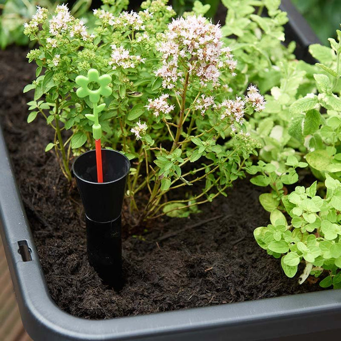 Raised Patio Planter - Image 3
