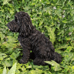 Real Life Sitting Black Cockapoo D