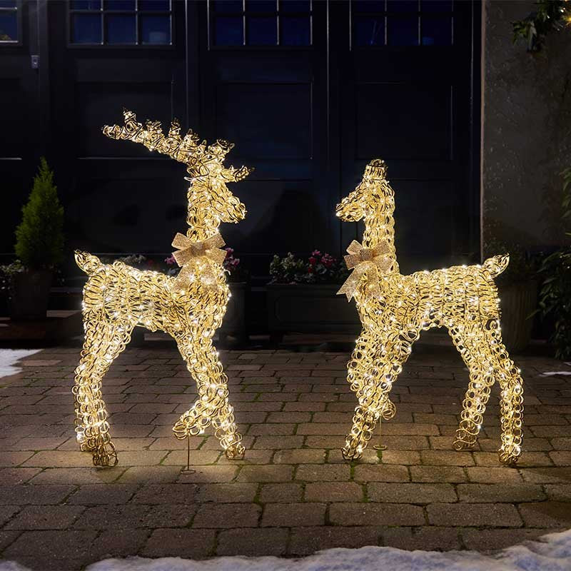 Titan Gold Doe 90cm LV - Image 1