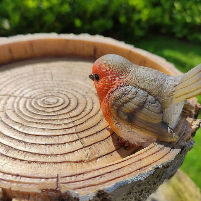 Bird Feeder BC Treetrunk Feeder with natural wood design, durable construction – available at Keans Claremorris.