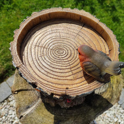 Bird Feeder BC Treetrunk Feeder with natural wood design, durable construction – available at Keans Claremorris.