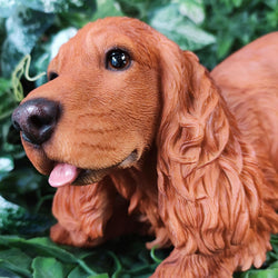 Active Pups Golden Red Cocker Spaniel D