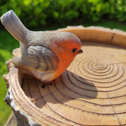 Bird Feeder BC Treetrunk Feeder with natural wood design, durable construction – available at Keans Claremorris.