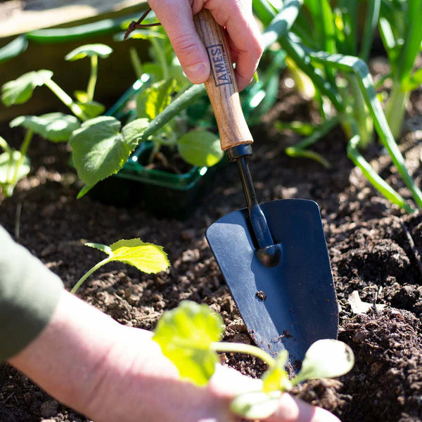 Ames Hand Trowel - Carbon Steel - Image 3