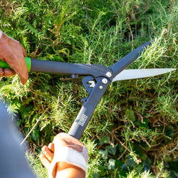 Ames Geared Hedge Shears