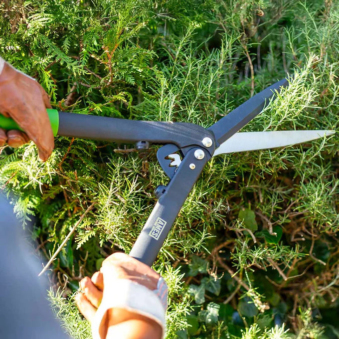 Ames Geared Hedge Shears - Image 4