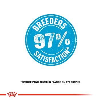 Royal Canin Mini Puppy Junior Dog Food 8kg bag – premium nutrition for small breed puppies | Keans Claremorris