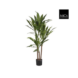 Dracaena artificial plant 100cm tall in black plastic pot, realistic leaves and trunks – Keans Claremorris.