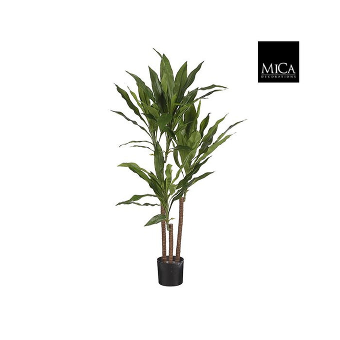 Dracaena artificial plant 100cm tall in black plastic pot, realistic leaves and trunks – Keans Claremorris.