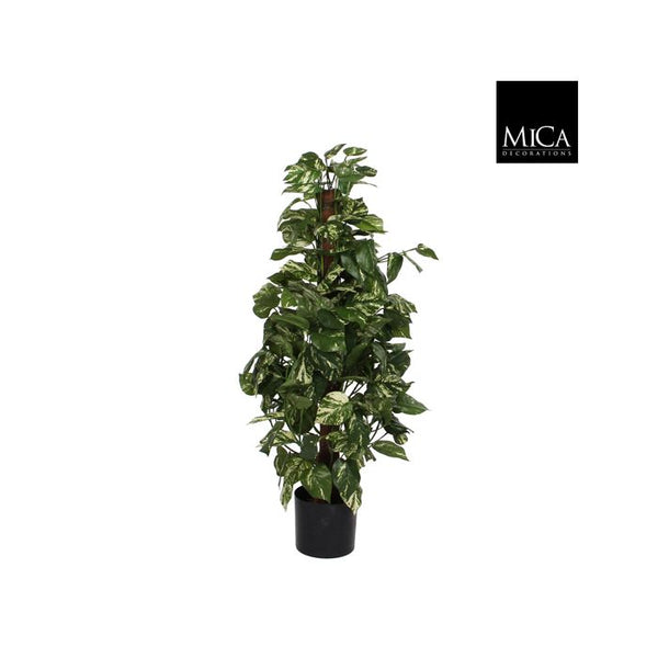 Scindapsus artificial plant with green leaves on wooden stem in black pot, 110cm tall – Keans Claremorris