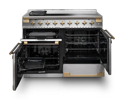 Rangemaster Elise 110cm Induction Black Edition Antique Brass Trim
