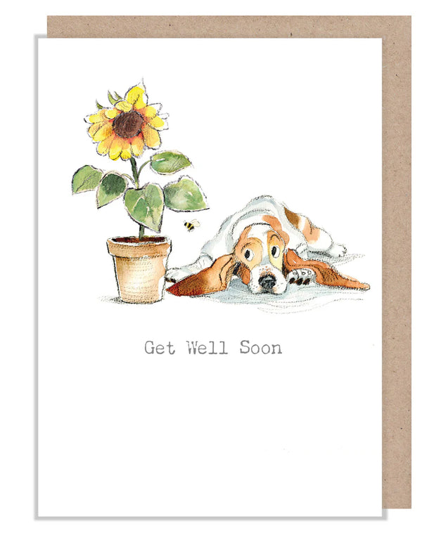 Paper Shed Design Get Well Soon