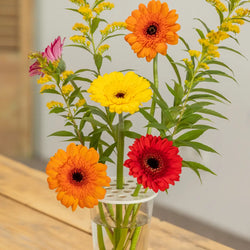 Esschert Flower Arranging Disc M White