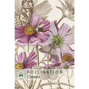 Cosmos - Kew Pollination Collection